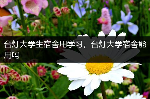 台灯大学生宿舍用学习，台灯大学宿舍能用吗