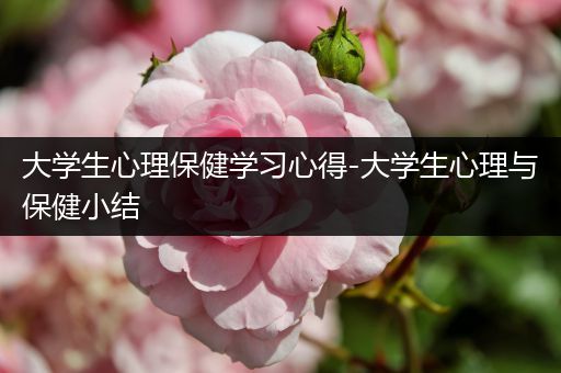 大学生心理保健学习心得-大学生心理与保健小结