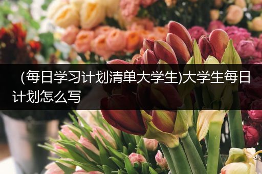 （每日学习计划清单大学生)大学生每日计划怎么写