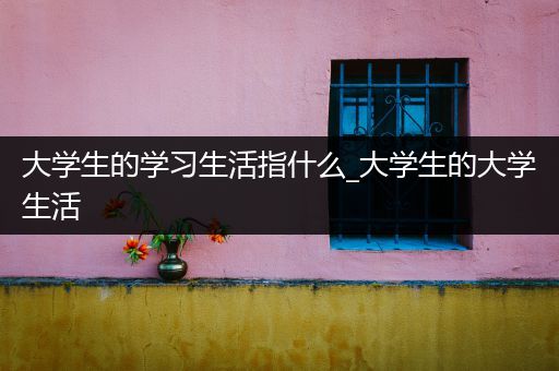 大学生的学习生活指什么_大学生的大学生活