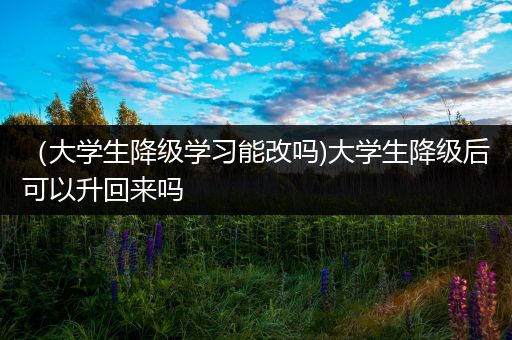 （大学生降级学习能改吗)大学生降级后可以升回来吗
