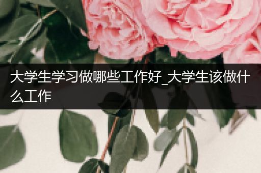 大学生学习做哪些工作好_大学生该做什么工作