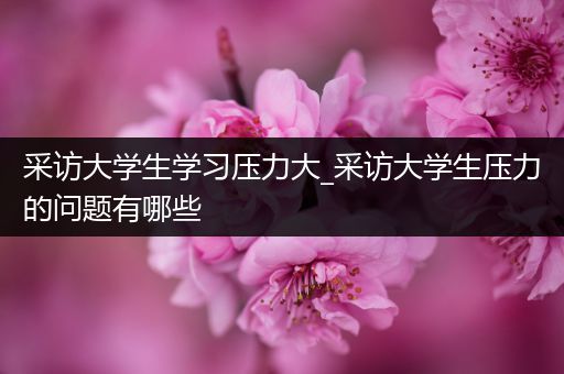 采访大学生学习压力大_采访大学生压力的问题有哪些