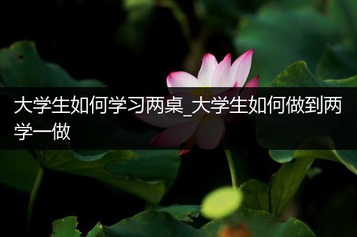 大学生如何学习两桌_大学生如何做到两学一做