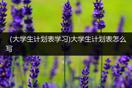 （大学生计划表学习)大学生计划表怎么写