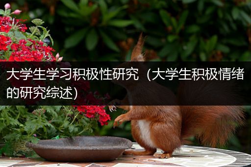 大学生学习积极性研究（大学生积极情绪的研究综述）