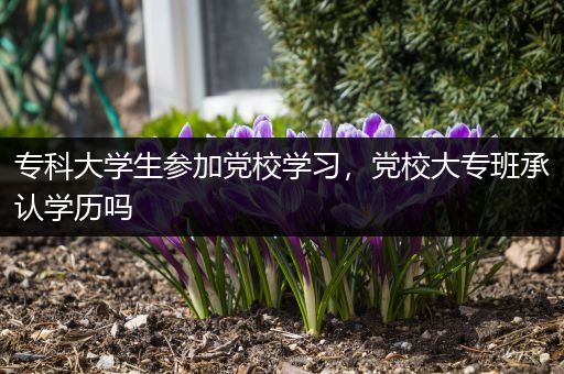 专科大学生参加党校学习，党校大专班承认学历吗
