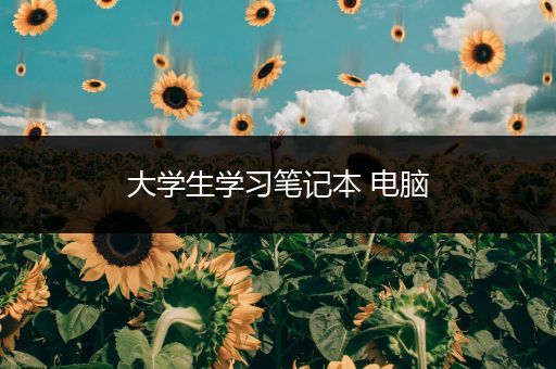 大学生学习笔记本 电脑