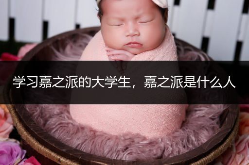 学习嘉之派的大学生，嘉之派是什么人