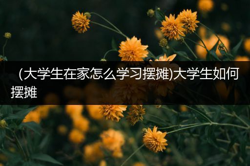 （大学生在家怎么学习摆摊)大学生如何摆摊