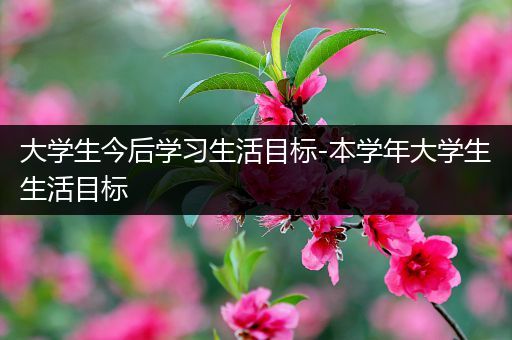 大学生今后学习生活目标-本学年大学生生活目标