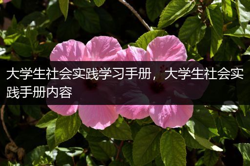大学生社会实践学习手册，大学生社会实践手册内容