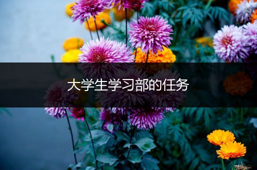 大学生学习部的任务