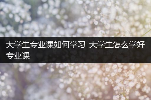 大学生专业课如何学习-大学生怎么学好专业课