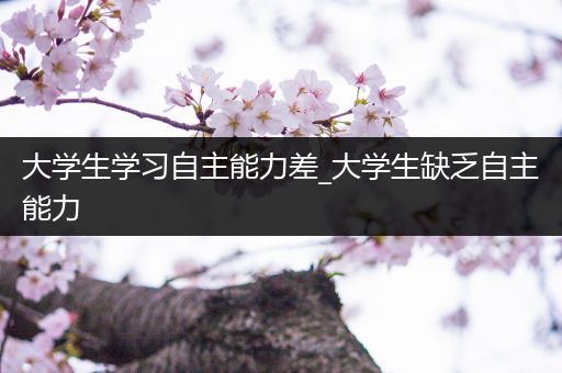 大学生学习自主能力差_大学生缺乏自主能力