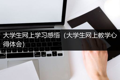 大学生网上学习感悟（大学生网上教学心得体会）