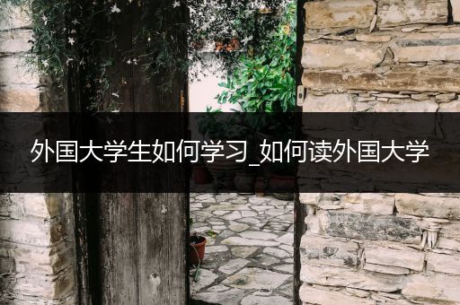 外国大学生如何学习_如何读外国大学