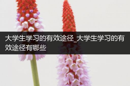 大学生学习的有效途径_大学生学习的有效途径有哪些