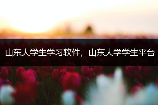 山东大学生学习软件，山东大学学生平台