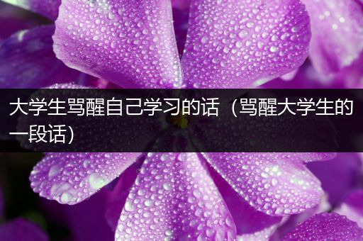大学生骂醒自己学习的话（骂醒大学生的一段话）