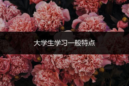 大学生学习一般特点