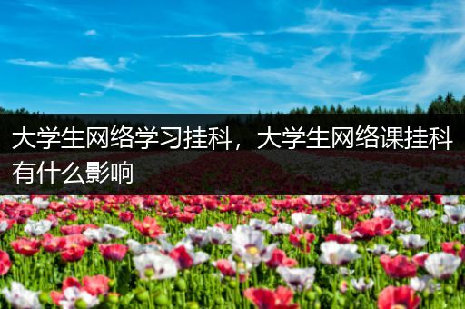 大学生网络学习挂科，大学生网络课挂科有什么影响