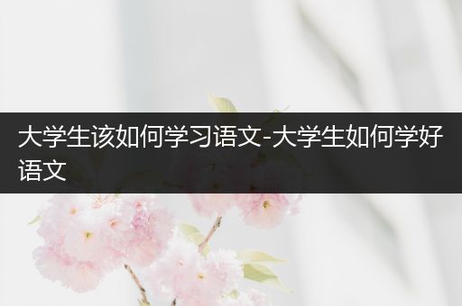 大学生该如何学习语文-大学生如何学好语文