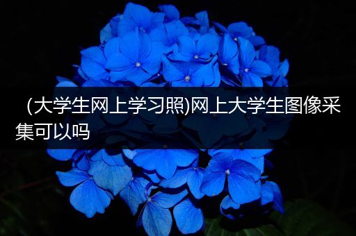 （大学生网上学习照)网上大学生图像采集可以吗