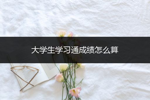 大学生学习通成绩怎么算