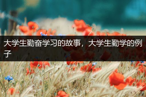 大学生勤奋学习的故事，大学生勤学的例子