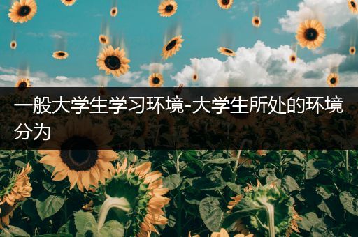 一般大学生学习环境-大学生所处的环境分为