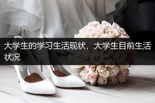 大学生的学习生活现状，大学生目前生活状况