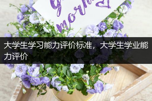 大学生学习能力评价标准，大学生学业能力评价
