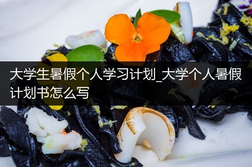 大学生暑假个人学习计划_大学个人暑假计划书怎么写
