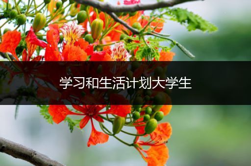 学习和生活计划大学生