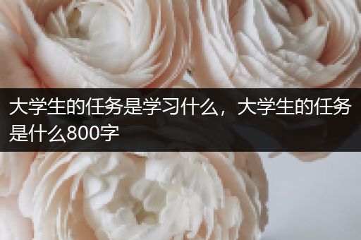 大学生的任务是学习什么，大学生的任务是什么800字