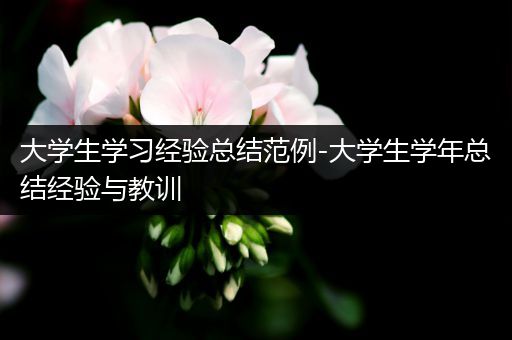 大学生学习经验总结范例-大学生学年总结经验与教训