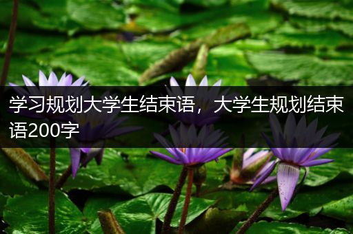 学习规划大学生结束语，大学生规划结束语200字