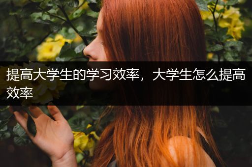 提高大学生的学习效率，大学生怎么提高效率