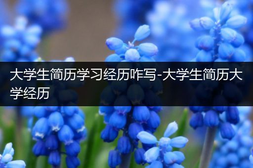 大学生简历学习经历咋写-大学生简历大学经历