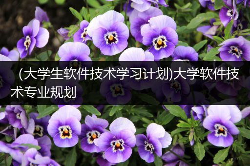（大学生软件技术学习计划)大学软件技术专业规划
