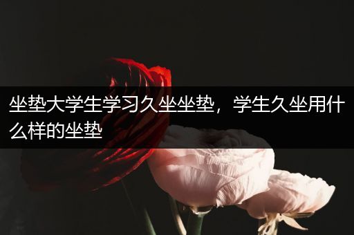 坐垫大学生学习久坐坐垫，学生久坐用什么样的坐垫