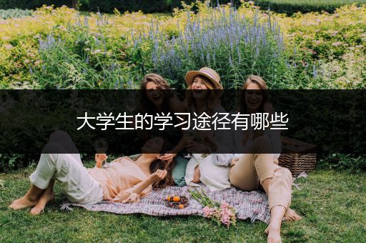 大学生的学习途径有哪些