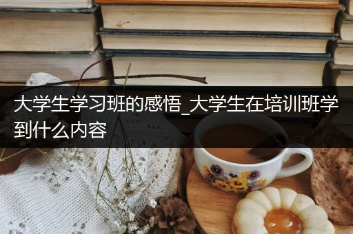 大学生学习班的感悟_大学生在培训班学到什么内容
