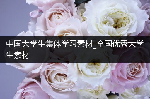 中国大学生集体学习素材_全国优秀大学生素材
