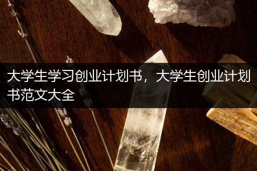 大学生学习创业计划书，大学生创业计划书范文大全
