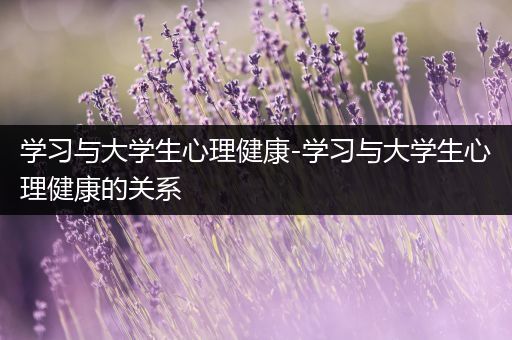 学习与大学生心理健康-学习与大学生心理健康的关系