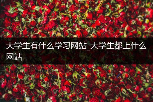 大学生有什么学习网站_大学生都上什么网站