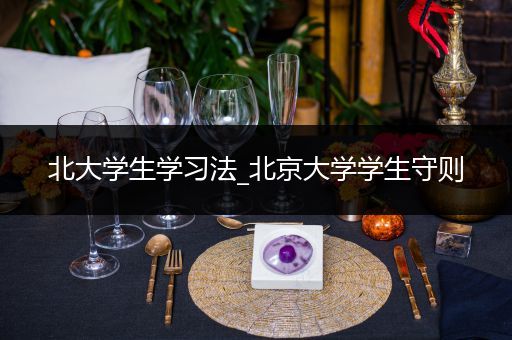 北大学生学习法_北京大学学生守则