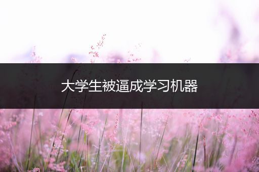 大学生被逼成学习机器